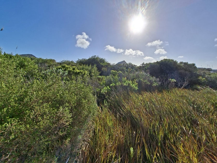 0 Bedroom Property for Sale in Pringle Bay Western Cape